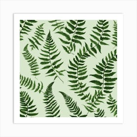 Fern Leaves 8 Art Print