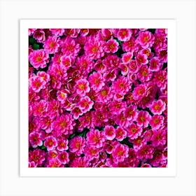 Pink Flowers 1 Art Print