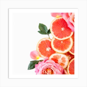 Pink Grapefruits And Roses Art Print