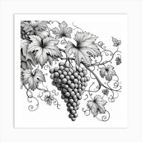 Line Art grapes and vines 2 Art Print