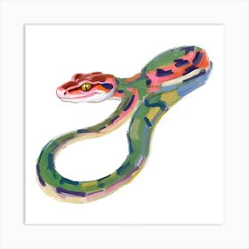 Red Tailed Boa Snake 05 Art Print