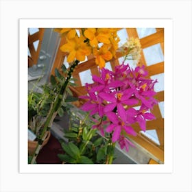 Orchids In A Greenhouse 3 Art Print