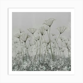 Field Of Flowers Art Print