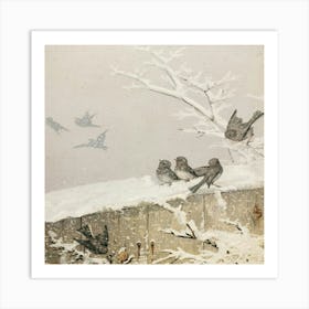 Birds On A Wall Art Print