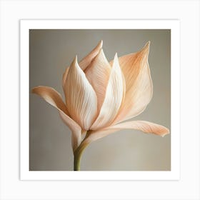 Peach Lotus Flower Art Print