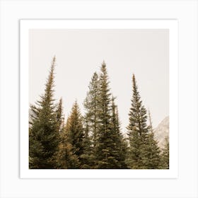 Foggy Forest Square Art Print