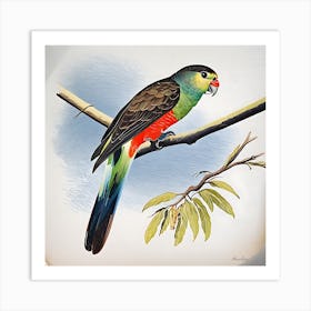 Paradise Parrot- Watercolour Art Print