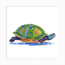 Painted Turtle 04 Art Print