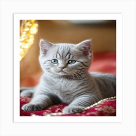 British Shorthair Kitten 2 Art Print