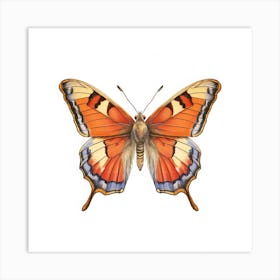 Butterfly 45 Art Print