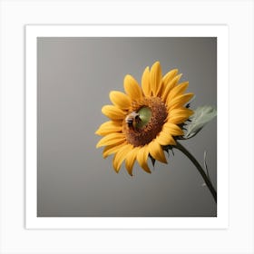 Bee On Sunflower Art Print