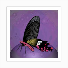 Mechanical Butterfly The Common Windmill Byasa Polyeuctes On A Purple Background Art Print