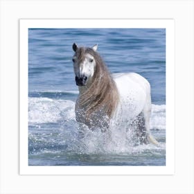 White horse in the sea Art Print