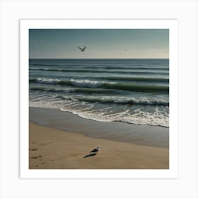 Seagull On The Beach 2 Art Print