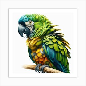 Parrot Art Print