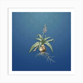 Vintage Lachenalia Lanceaefolia Botanical on Bahama Blue Pattern n.0887 Art Print