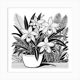 Orchids In A Pot Art Print