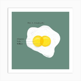 Double Yolker Egg Square Art Print