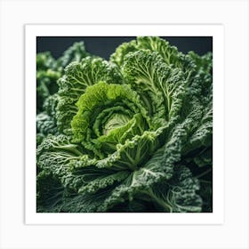 Close Up Of Green Cabbage Art Print