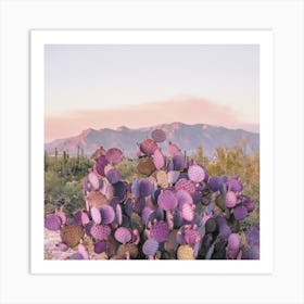 Purple Desert Cactus Art Print