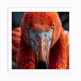 Flamingo 18 Art Print