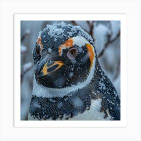 King Penguin 16 Art Print