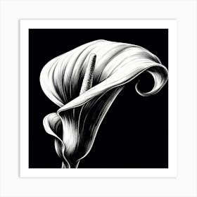 Calla flower 1 Art Print