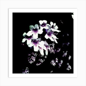 Purple Flowers Art Print