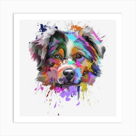 Splash Art Australian Shepherd Aussie Lover Gifts Art Print