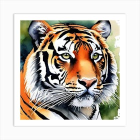 Tiger 10 Art Print