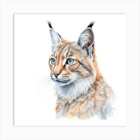 Island Lynx Cat Portrait 3 Art Print