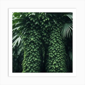 Ferns In The Jungle Art Print