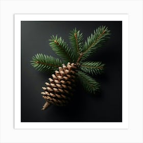 Pine Cone Isolated On Black Background Art Print