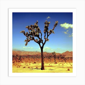 Arbre Joshua Free Art Print