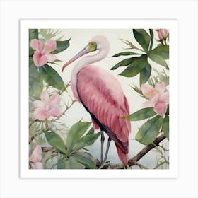 Pink Spoonbill Art Print