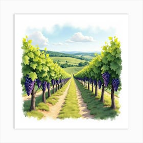 An English Vineyard With Ripe Grapes And Rolling Hills, Watercolor Painting Art Print