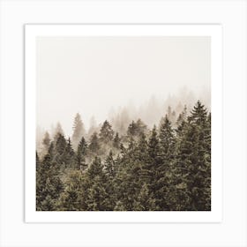 Modern Forest Square Art Print