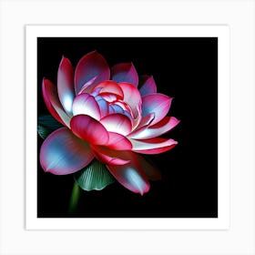 Lotus Flower 26 Art Print