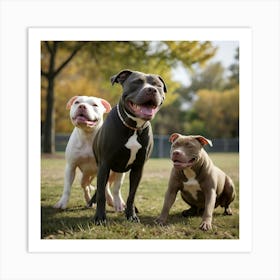 Pitbull Dogs Having A Play Date Art Print