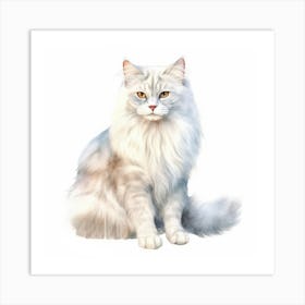 Burmilla Longhair Cat Portrait 1 Art Print