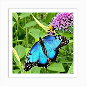 Blue Butterfly 3 Art Print