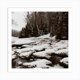 Winter Chill Art Print