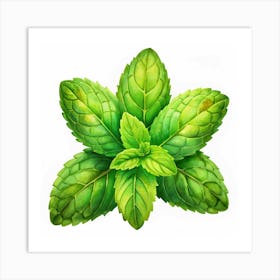 Watercolor Mint Leaves 1 Art Print