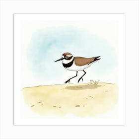 Plover Art Print