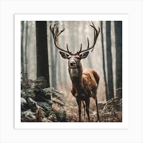 Deer In The Forest 6 Art Print