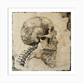 Skull And Neck Art Print