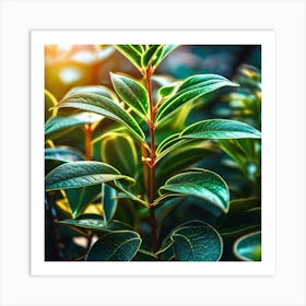 Eucalyptus Art Print