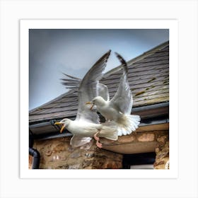 Seagulls Flying Art Print