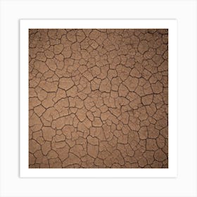 Cracked Earth Art Print