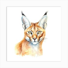 Caracal Cat Portrait 1 Art Print